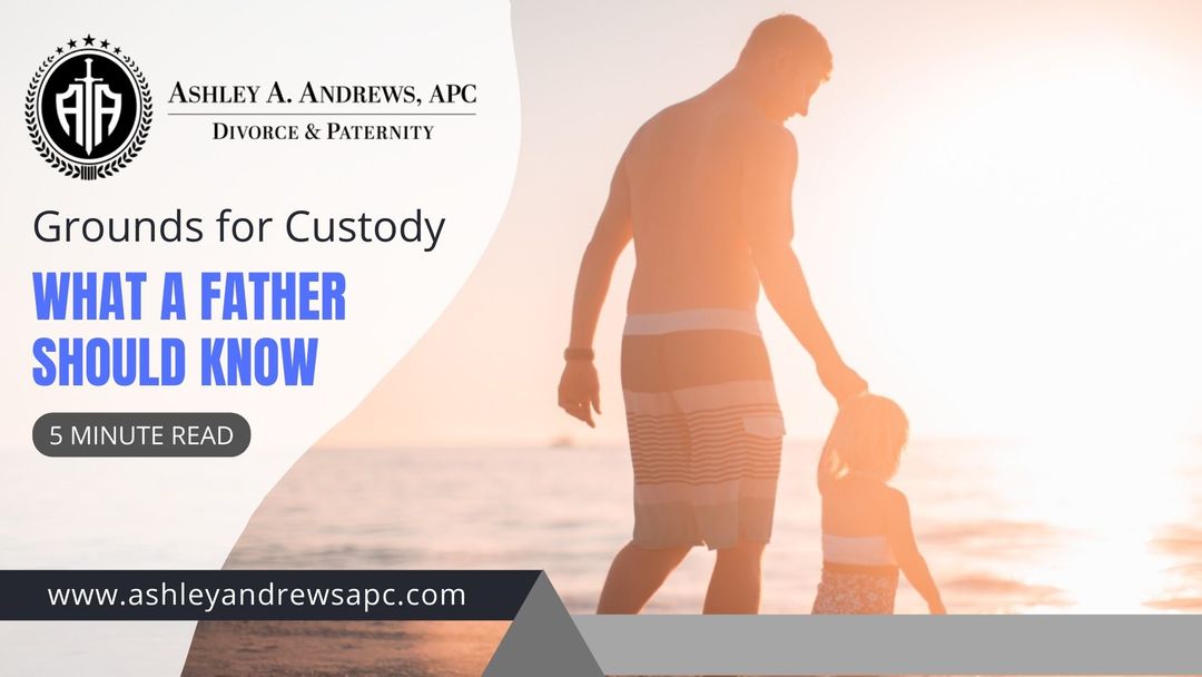 Grounds For Full Custody What A Father Should Know Family Law Blog